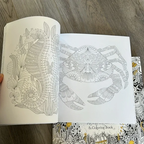 ✨TWO✨Adult Coloring Books - Picture 4 of 4